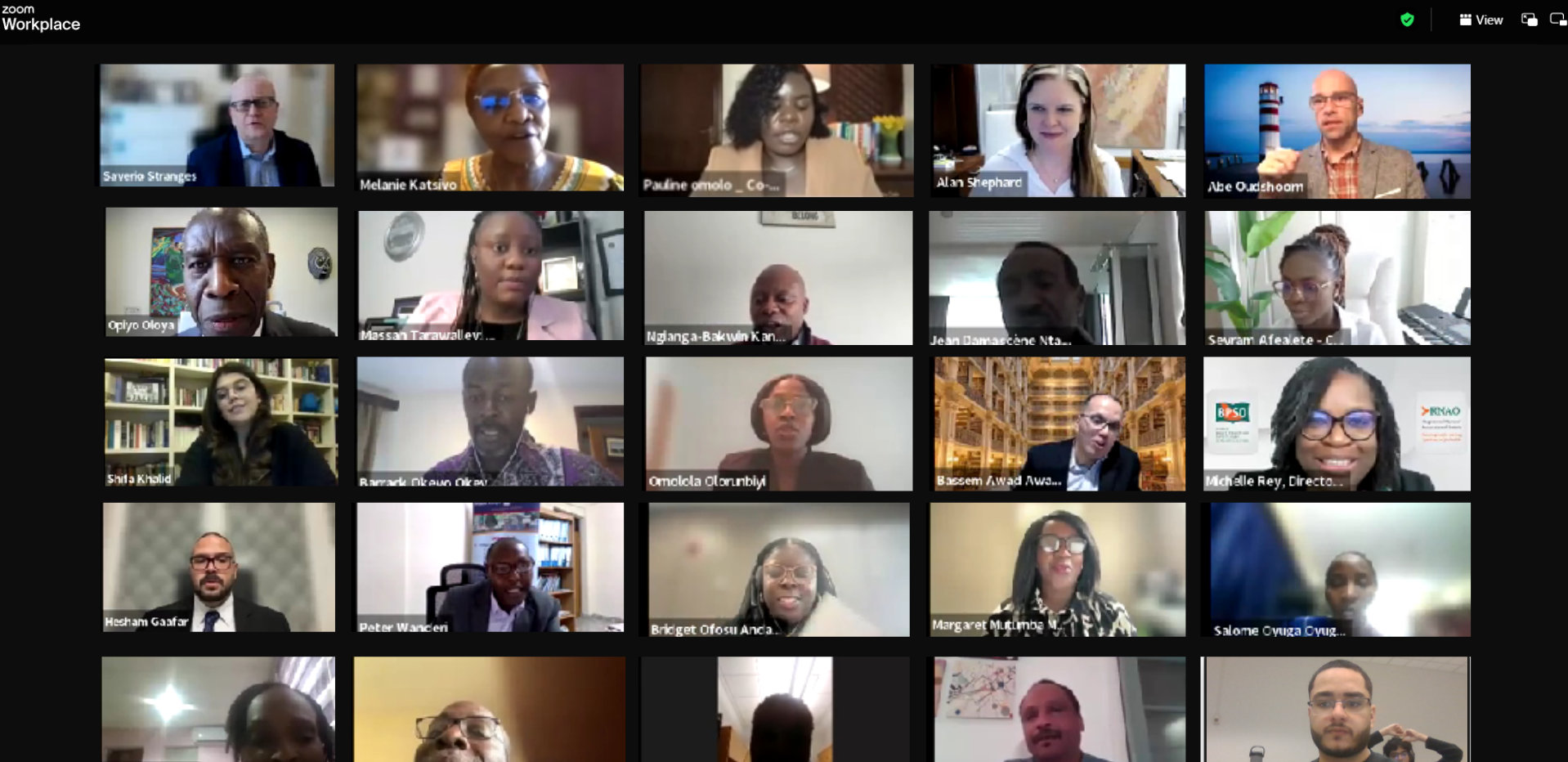 Screenshot with All presenters for CAACC 2025